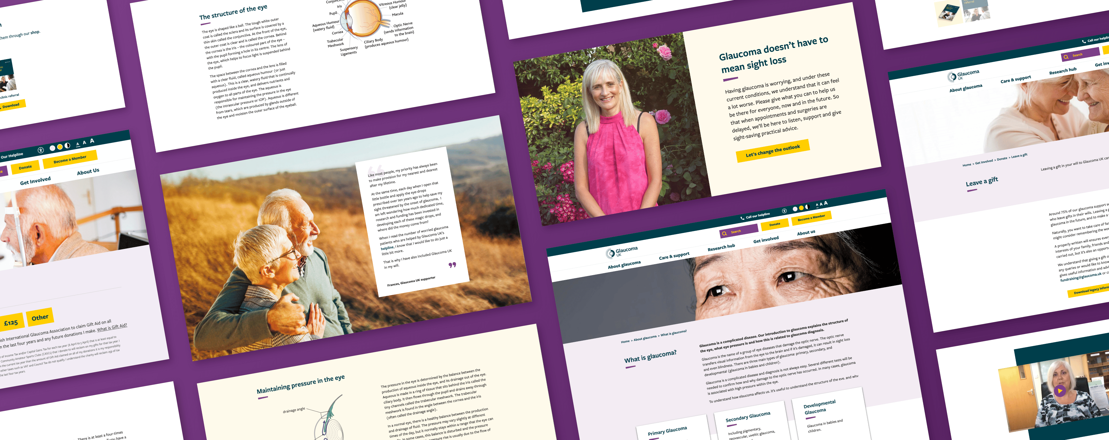 Glaucoma UK website elements